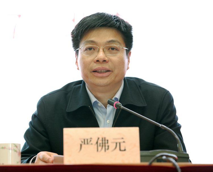 江西省政府副秘書長、省駐京辦黨組書記、主任嚴佛元.JPG